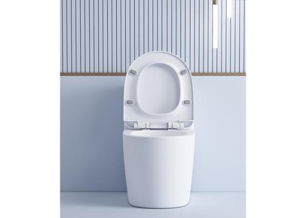 China Supply Sanitary Ware Bathroom Sanitary Washdown One Piece WC Toilets Sets Bathroom Sanitary Ware