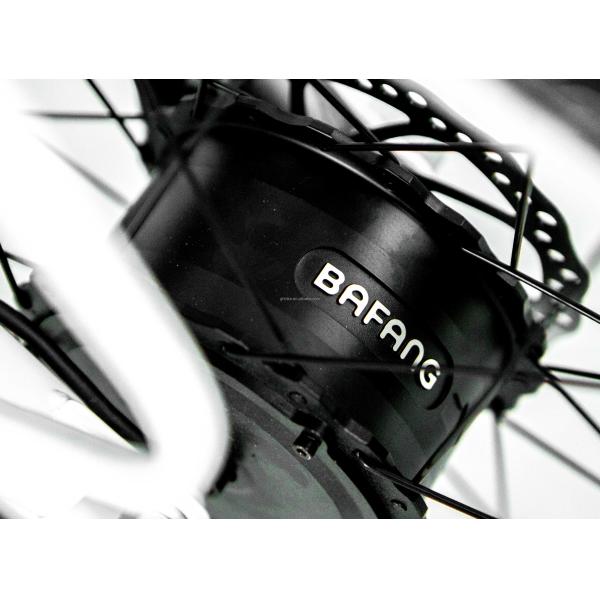 48V 14AH Rear Basket 4.0 Snow Tire Electric Cargo Tricycle with USA CE Certification