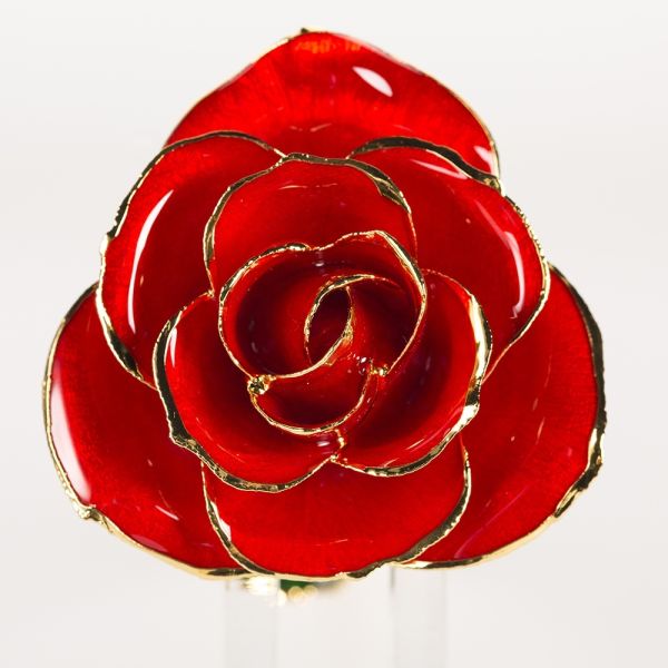Hot 24K Gold Plated Real Natural Rose Manufacture Directly Supply  Gold Dipped Rose  for Valentines Day  Gift Wholesale