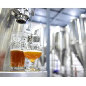 Протеаз кислоты пищевого качества 50 000-100 000 ед/г, ферментные препараты, стабилизаторы, ароматизаторы