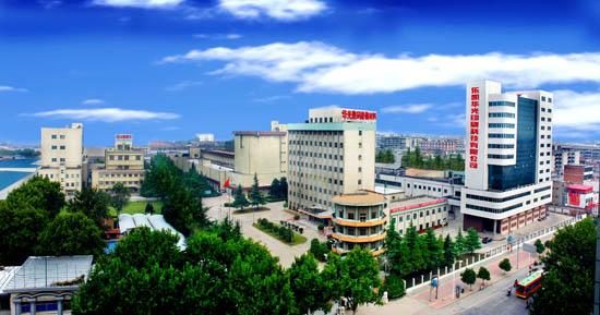 Пакет плиты цифров гибкий Photopolymer печатая Flexographic плиту