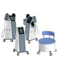 THÉRAPIE PRIVÉE CHAI de machine de stimulateur de muscle d'Abdominis 13 Tesla SME de Rectus