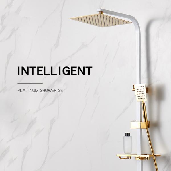 Набор Faucets Bathroom ливня изделий холодных осадок горячей воды санитарный