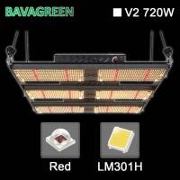 O diodo emissor de luz hidropônico de SAA LM301H Seoul 385nm 720W cresce claro para plantas internas