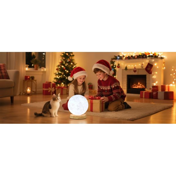 10000 Lux Daylight Therapy Lamp 6000K Table Moon Lamp Customizable