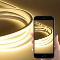 24V Neon Lights LED Light Strips Indoor Deco No Spot 3000K