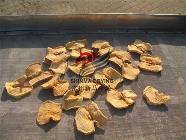 Mango Drying Equipment  400kg/H Industrial Conveyor Belt Dryer