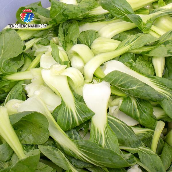 Bubble washing vibration air drying production line Orange Vegetable Herbs Fruit processing production Machine