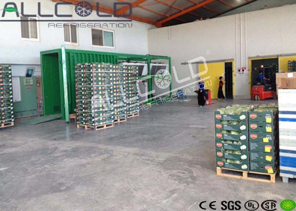 Vácuo do aipo da alface - o equipamento refrigerando Danfoss/refrigeração de Frascold parte