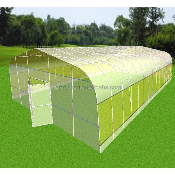 Agricultural Single-Span Tomato Greenhouse Frame PE Plastic Film for Plant Growth