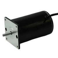 el imán permanente de 24V 48V cepilló el motor 30-300W 76ZYT de DC para el torniquete inteligente de la puerta de la barrera del oscilación
