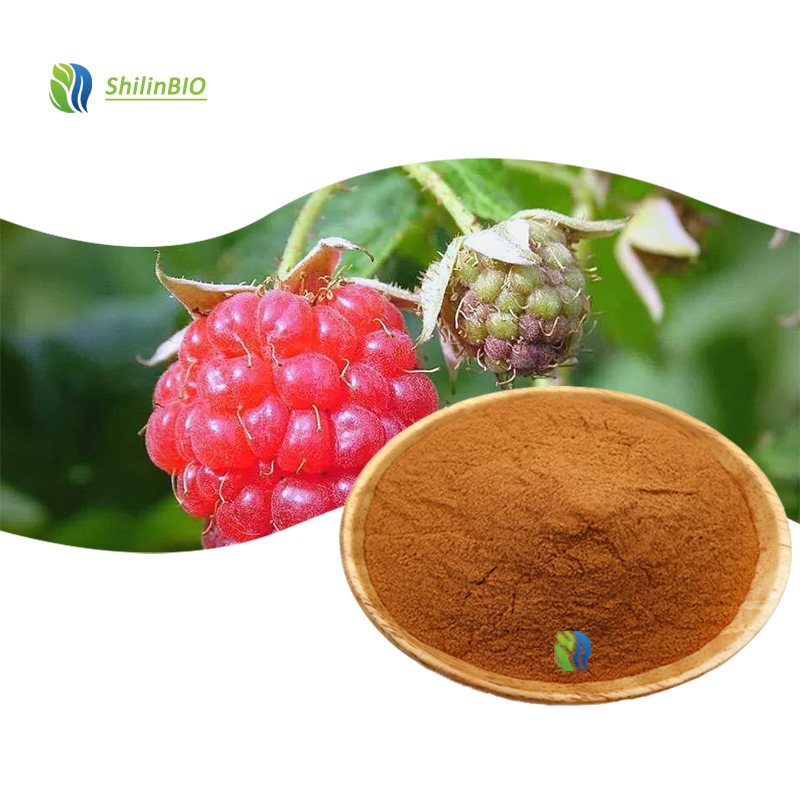 High Quality 10:1 20:1 Fructus Rubi Fruit Extract Rubus Idaeus Extract Raspberries Extract Powder