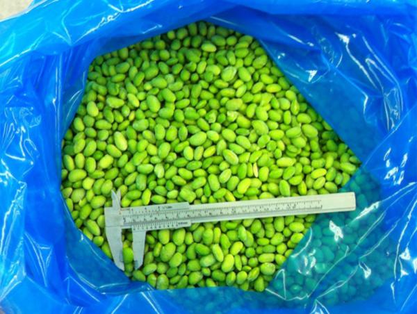 Bulk Organic High-Protein Frozen Vegetable Ready to Cook IQF Soya Beans