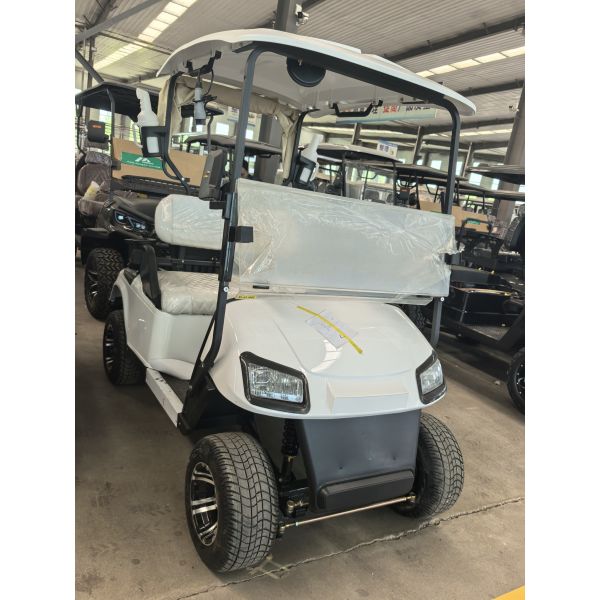 LCD Instrument Dash Board 2 Seats Mini Golf Cart with and Speed of 25-40 Mph