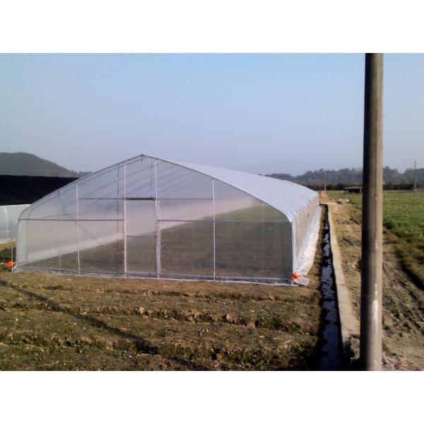 Погружение низкого или высокого парника тоннеля пластикового горячее гальванизировало высокий район широты