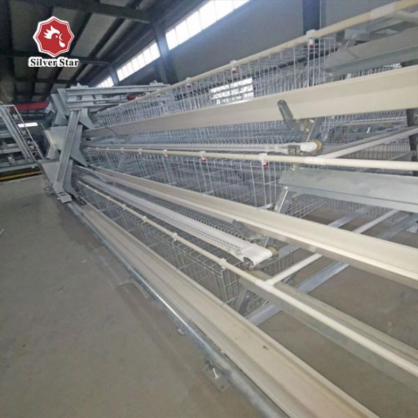 A Type Layer Chicken Cage Installation Provide