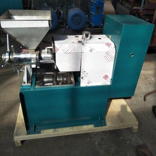 Message publicitaire froid de presse d'huile de 6YL 70 3kw 1.4m de presse de cacao automatique de machine industriel