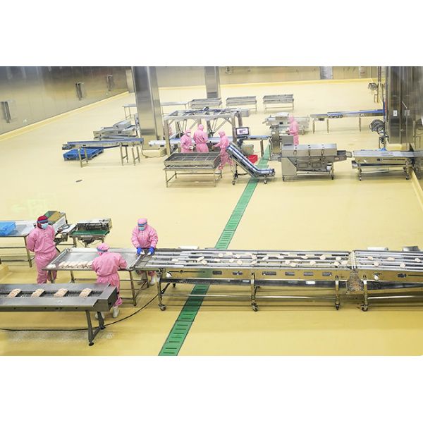 Cold Storage Warehouse Pallet Stacker Crane ASRS Logistics Center Automatic Storage And Retrieval System