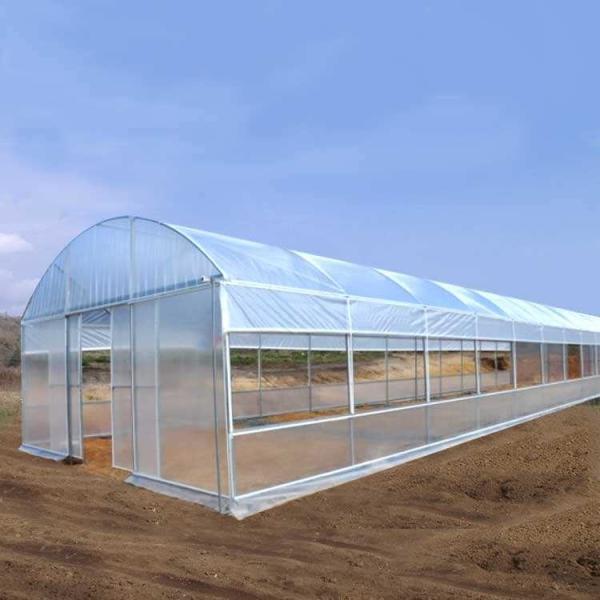 Commercial Plastic PE Film Seedling Poly Tunnel Greenhouse For Tomato Growing