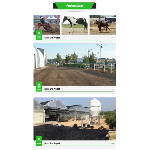 330*330*50 мм Высота 5 мм Лошадиная лошадка Падок трава Пешеходная стойка Решетка Лошадиная лошадка Решетка