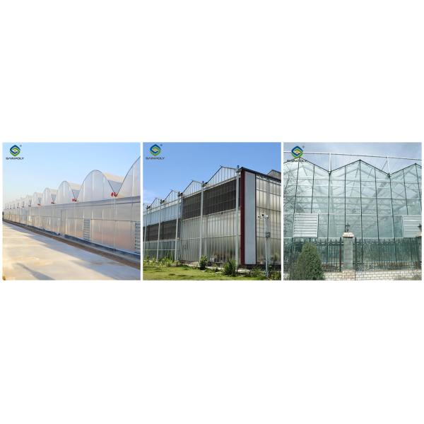 Uv Protection Transparent Flower Garden Greenhouse Easy To Assemble