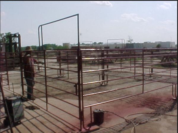 Portable Goat Fence Panels / Galvanized Livestock Fencing Simple Structure