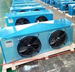 Комната моды небольшая холодная для сухой еды с конденсатором охлаженным воздухом