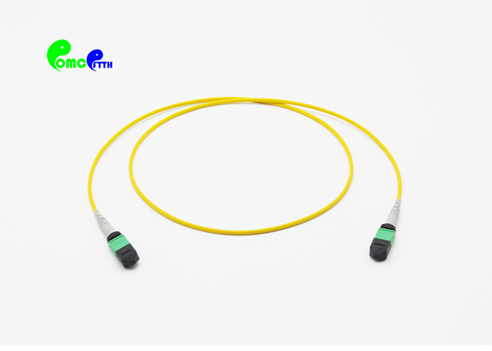 Волокно 9 кабеля 12 хобота MTP/125μm MTP к режиму OS2 LSZH MTP женскому одиночному напечатать кабель заплаты
