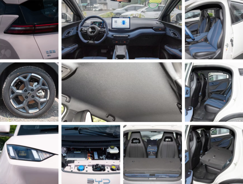 BYD Seagull 2025 Electric Car 305km Range New Energy Flying Version Hatchback