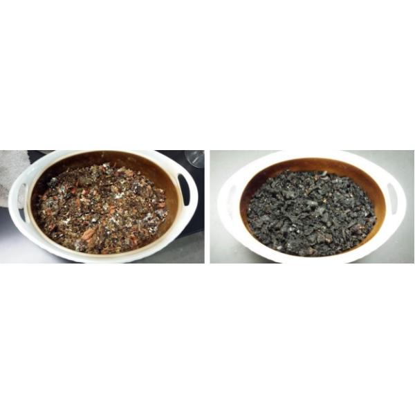 Завод по переработке пищевых отходов Biochar