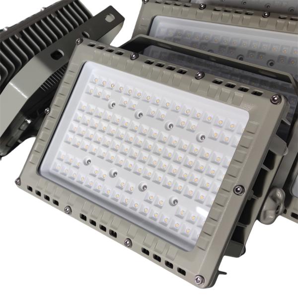 500 Watt 90-295Vac Proyector Atex Personalizable