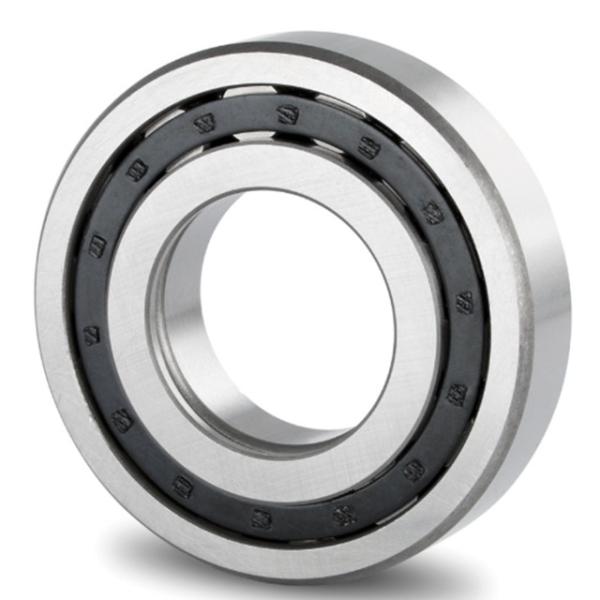 Single Row Cylindrical Roller Bearing NUP2319 92619 95*200*67mm