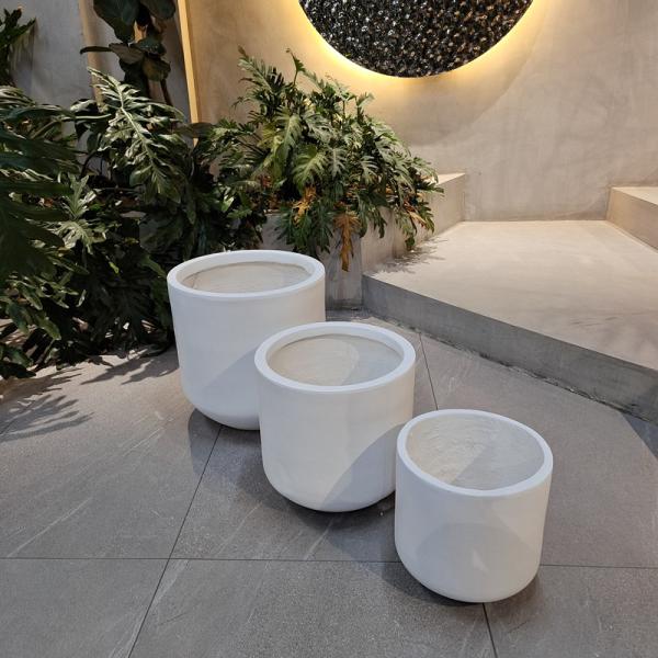 Wholesale Real Plant Display With Fiber Clay Planters Decoration