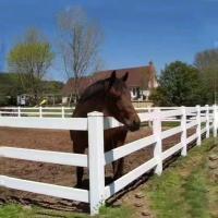 Clôture de ferme pour chevaux en PVC blanc de 1,2 m avec 3 rails