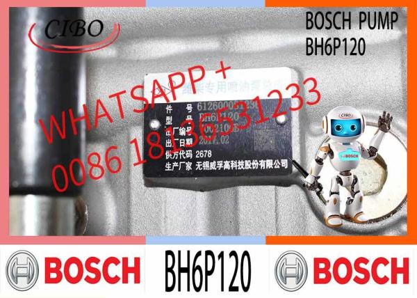 Parties moteur Shanghai C6121 3306 Moteur diesel Longbeng Pompe à injection de carburant BH6PA110 BH6P110 BH6P120