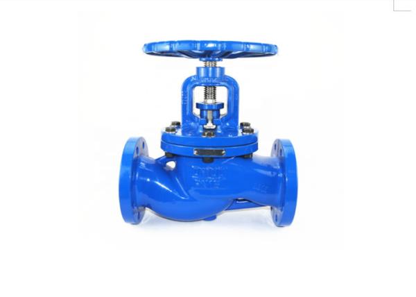 Sizes 1/2 To 2 Class 800 Forged Stainless Steel 316L Globe Valve BSP , NPT , Socket Weld