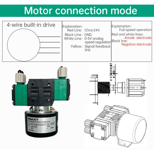 Small high pressure electric diaphragm pump agricultural 24v DC pump