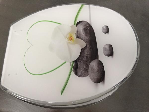 decoration toilet seat,color,polyresin,plastic,solid white,sanitary toilet seat cover