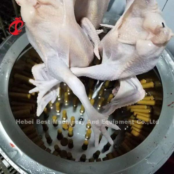 Poultry Farm Slaughterhouse 1100w Chicken Feather Plucking Machine In Nigeria Doris