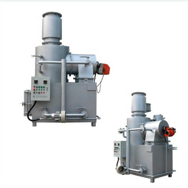 30-50kg/h Combustion Capacity Waste Incinerator for Household Chemical and Pet Waste