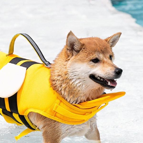 Chaqueta salvavidas ligera para mascotas con patrón antideslizante, ropa impermeable para exteriores