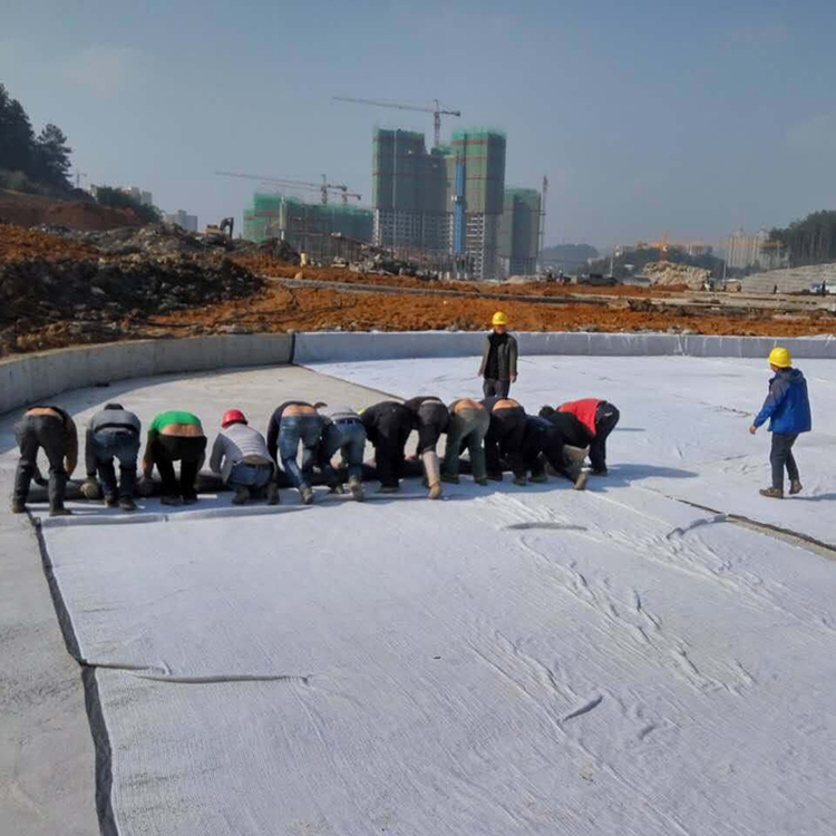 не сплетенная ткань дренажа Geotextile полиэстера полипропилена 4oz