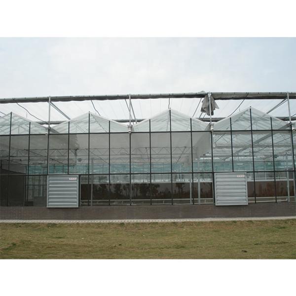 Galvanized Steel Pipe Multi Span Greenhouse Vegetable Greenhouse Kits For Winter Cover