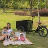 3 Wheel E-Cargo Bike with Steel Box for Family and Dog-Friendly Transportation