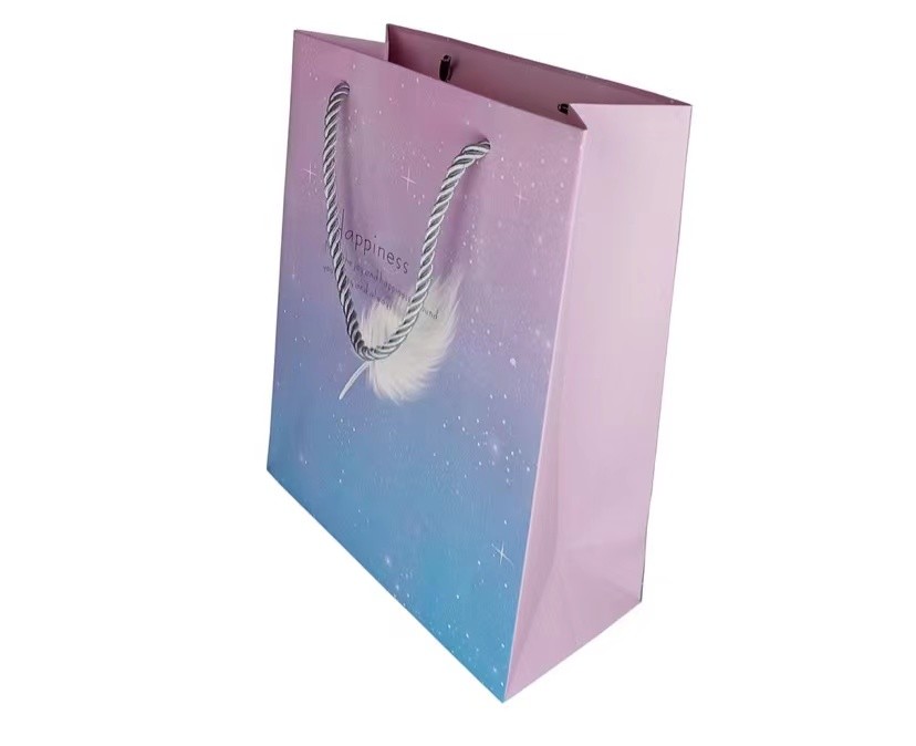 Gravure 27cm*20.3cm*11cm печатая косметические бумажные мешки с кнопкой