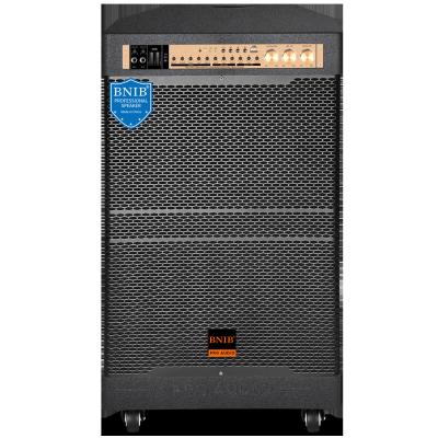 2000W Battery Operated Portable Speaker HI-FI Sound Home Theatre Party Speaker