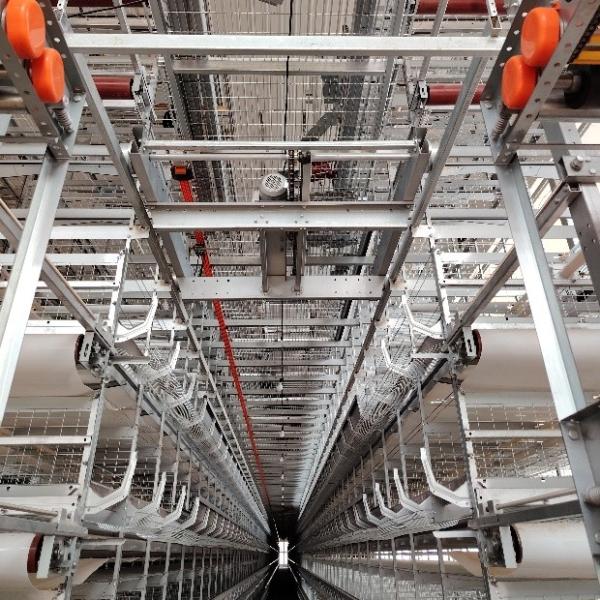 Automated Laying Hens Machines 8 Tier Chicken Layer Battery Cage Chicken Cages Hot Galvanized Egg Layer Poultry Farms