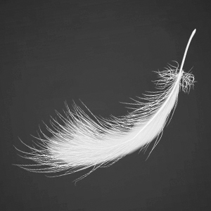 Wide Brim Bucket Hat Foldable Boonie Hat for Fishing Hiking Garden Safari Beach Breathable for Fishing, Hiking, Camping