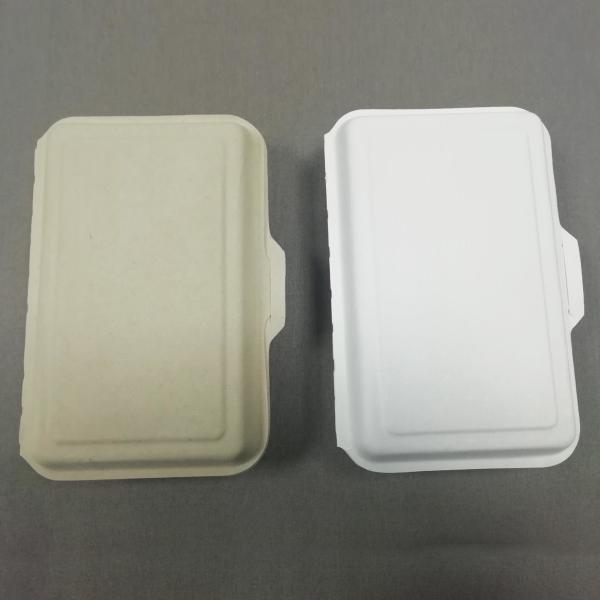 2- Compartments Meal Prep Bento Boxes Sugarcane Bagasse Take Out Microwavable Biodegradable Material Deep Container