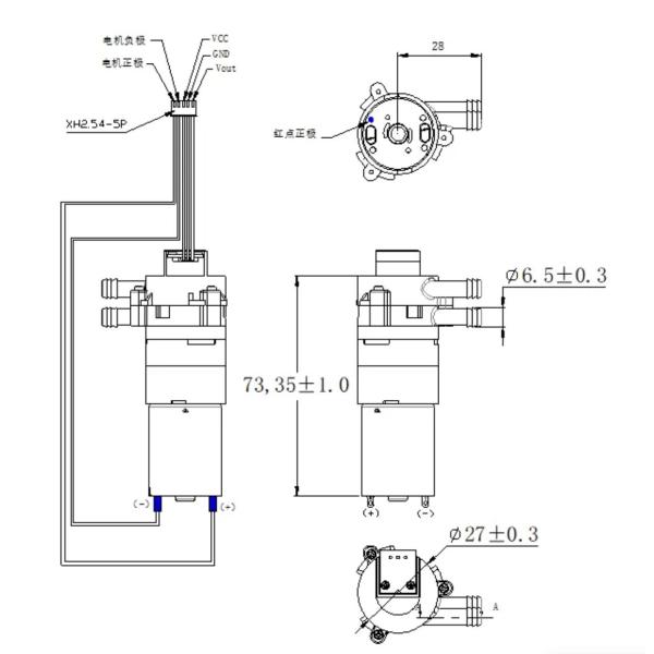 Water Mini Liquid Pump Electric DC 6V 12V 24V With Hall Element